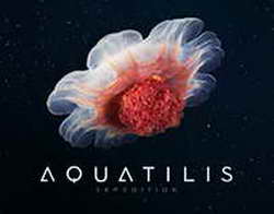 Прекрасный опыт: Вуди Аллен восхитился Петербургом и Москвой