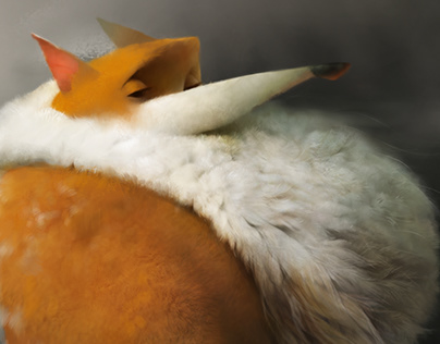 Максимум приватности: Firefox выпускает VR-браузер