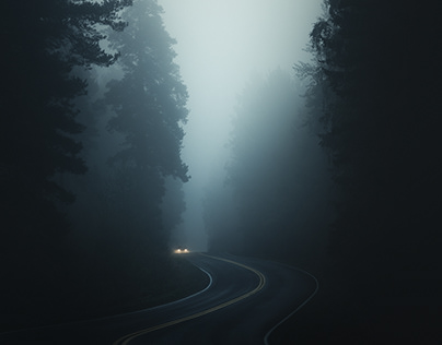 Зашли на Ozon и нашли три пылесоса Redroad по рекордно низким ценам. Спешите, пока не сгорели промокоды!