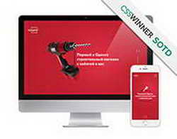 Женщины рейхсфюрера СС: у Гиммлера были жена и любовница