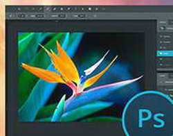 Беременная Агата Муцениеце снялась в фотосессии на фоне слухов о том, что у неё накладной живот