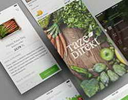 Покупательница квартиры Ларисы Долиной снова проиграла ей суд и осталась без денег